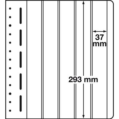 10 Feuilles à 5 bandes verticales LB5VERT Leuchtturm 328195